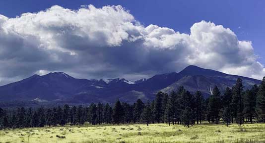 Motivation and Inspiration